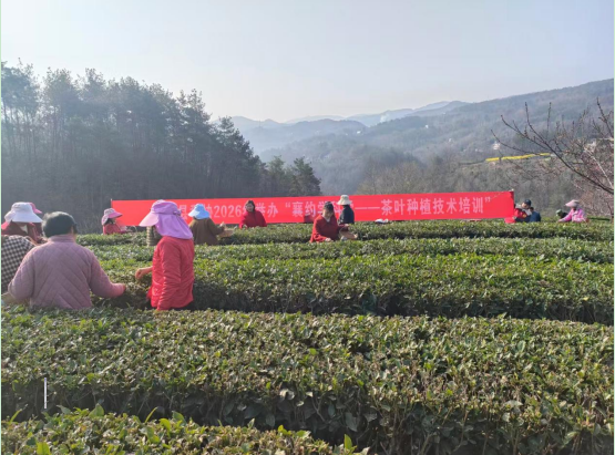 1774516288895086138.png 1774235126582903.png