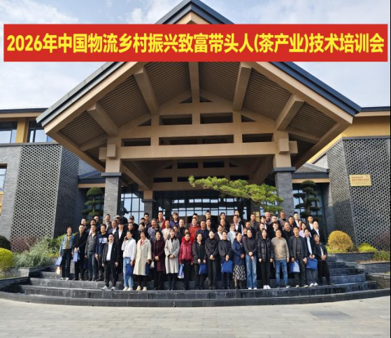 1774577745614030301.png 下载 (2).png