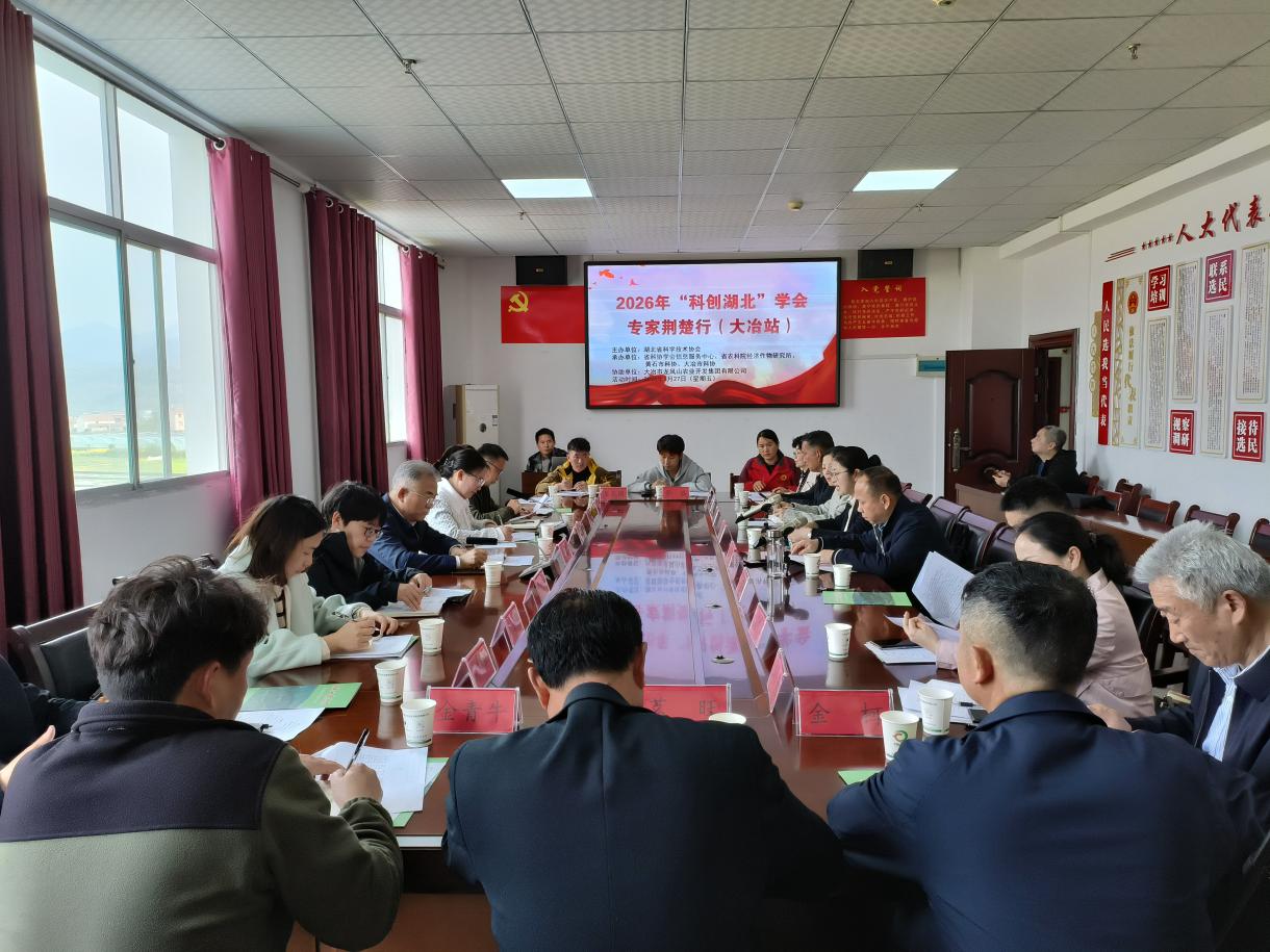 1774842113570020783.jpg 图片4.jpg