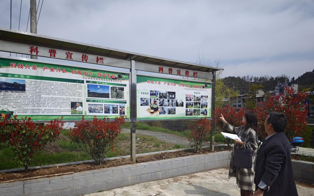 1775183022063059888.jpg 图片6.jpg