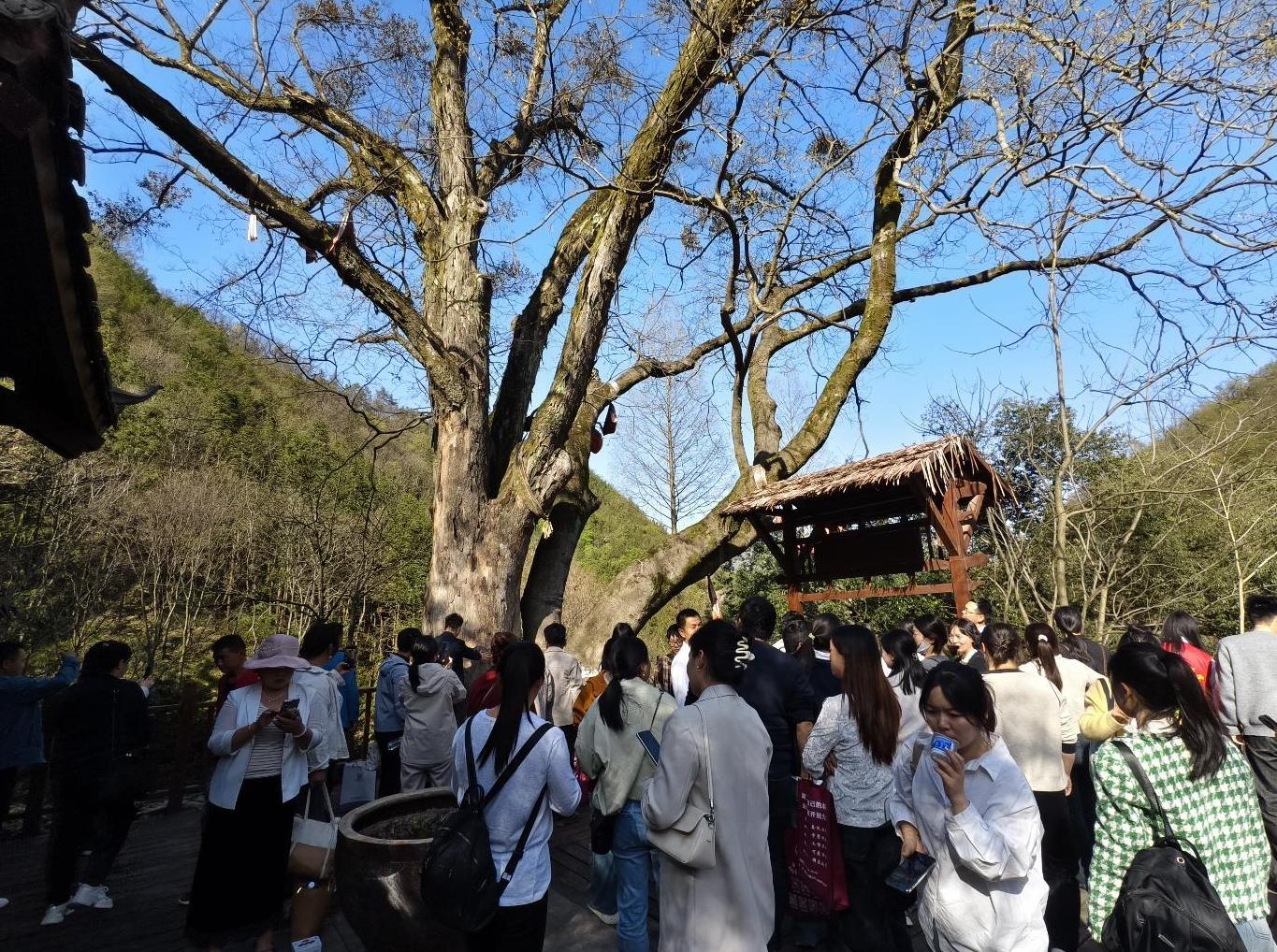 1775184525238086904.jpg 截图录屏_选择区域_20260403104735.jpg