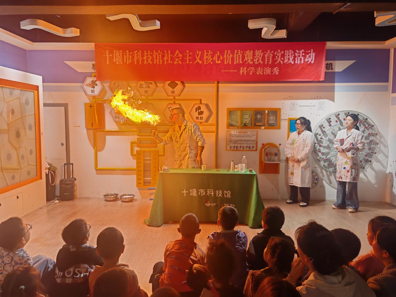 图片11.jpg
