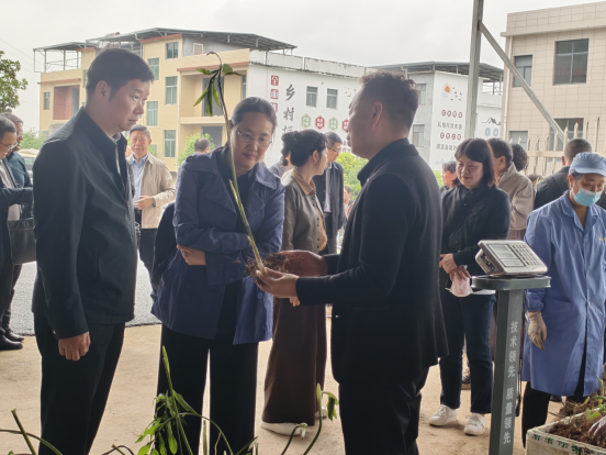 送审新闻稿0411--2026年“科创湖北”学会专家荆楚行走进咸宁  助力大健康产业创新发展(2)185.png