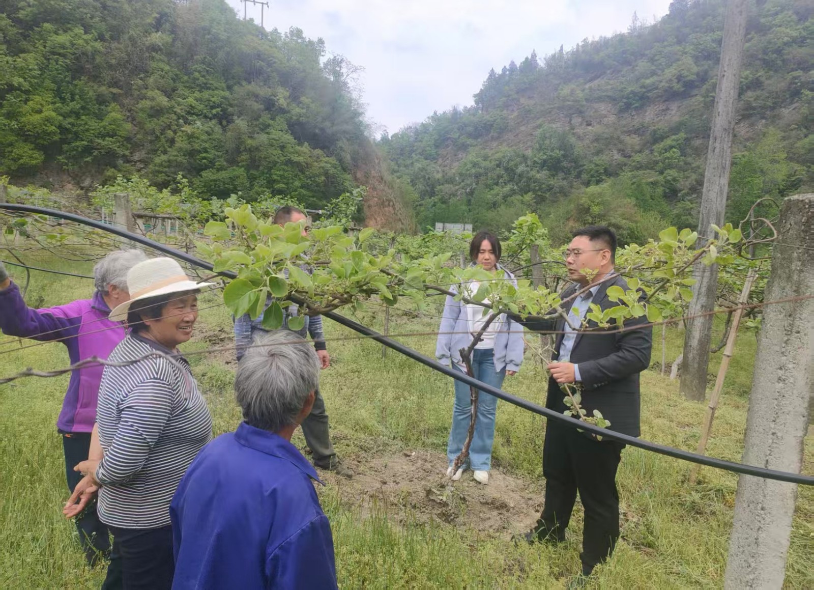 1776136339425051286.jpg 图片16.jpg