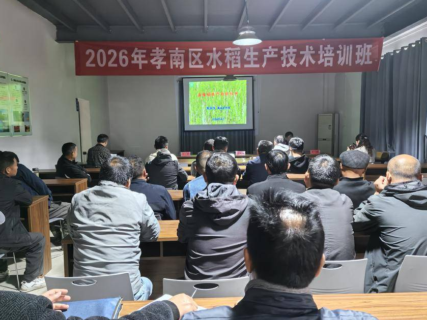 1776149686827034182.png 824a554d4915e3d56fa5483181a9da7a.png