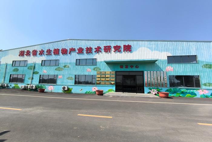 1778289683950053816.jpg 湖北省水生植物产业技术研究院.jpg