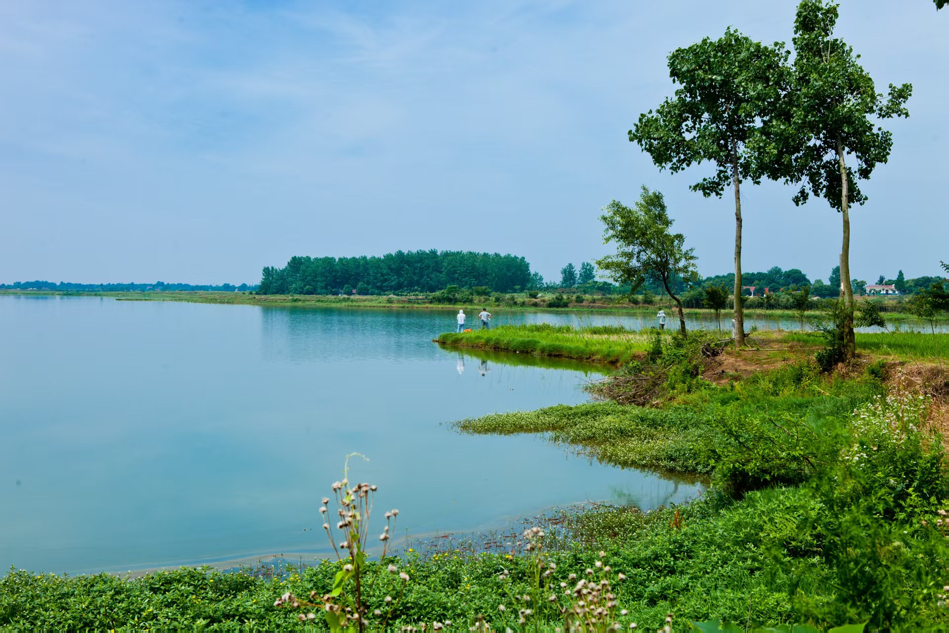 沙洋潘集湖国家湿地公园