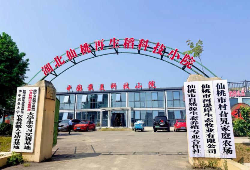 1779240101281086701.png 图片1.png