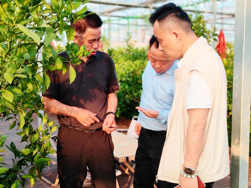 图片23.jpg