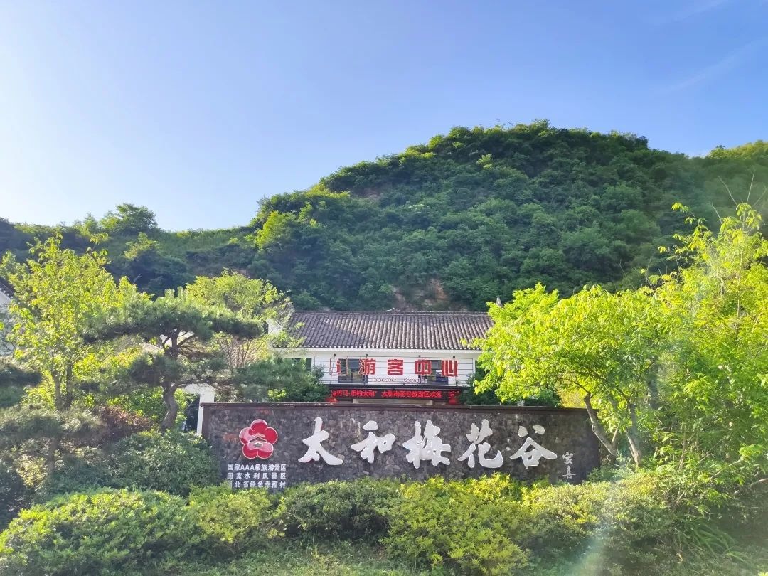 十堰市竹山县太和梅花谷研学旅行基地