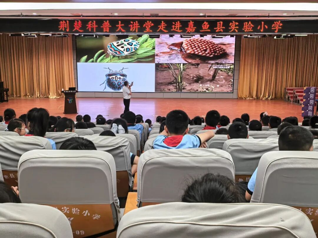 图片4.png
