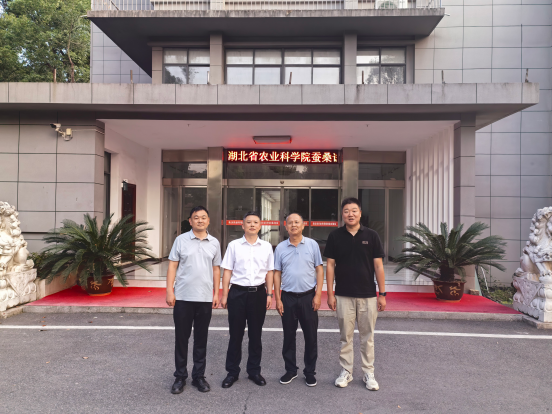 1781687766278061343.png 下载 (3).png