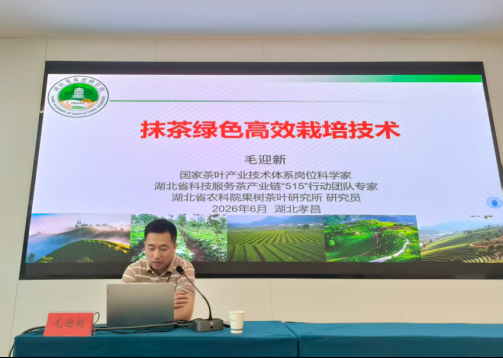 下载 (3).png
