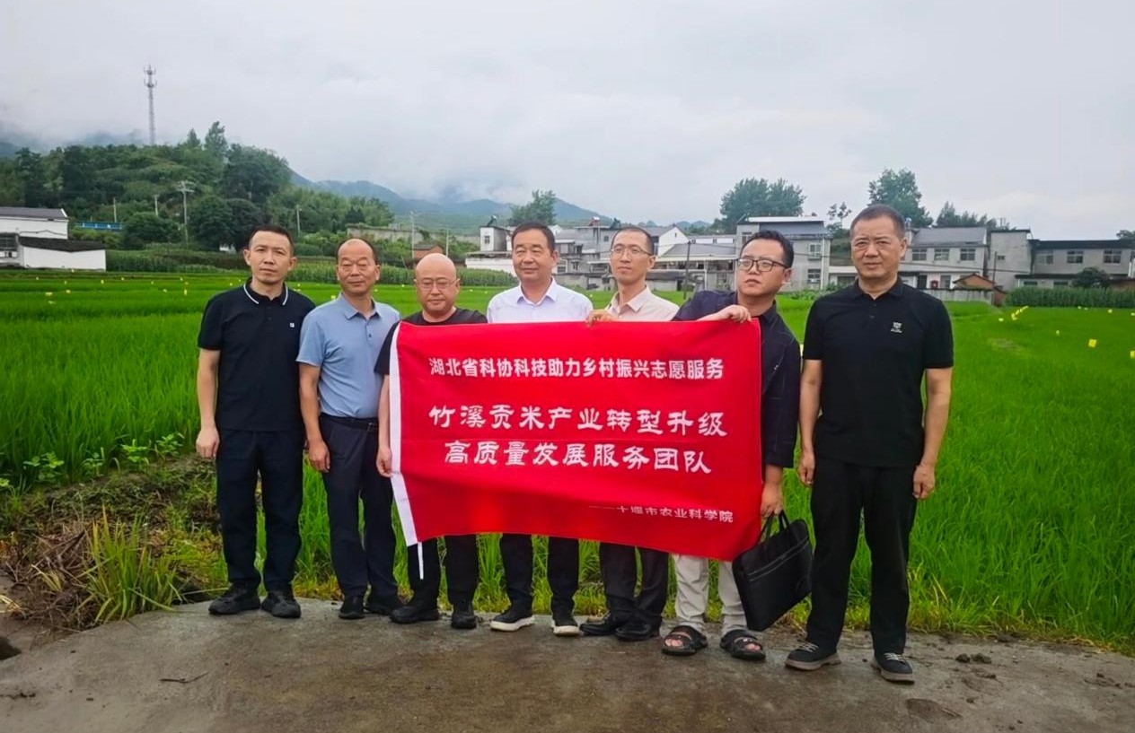 1782980617077081487.jpg 图片22.jpg