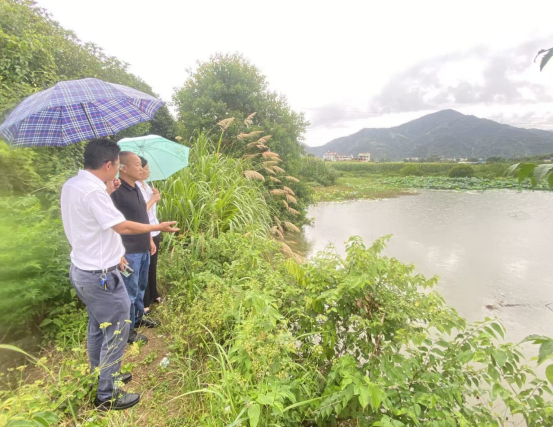 1783047931041016477.png 党建领航庆华诞科普赋能促振兴(定)628.png