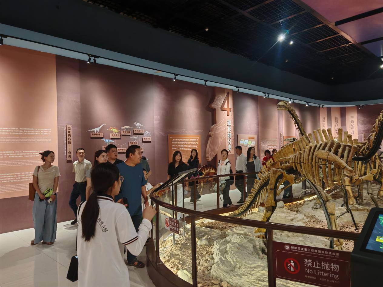 图片27.jpg