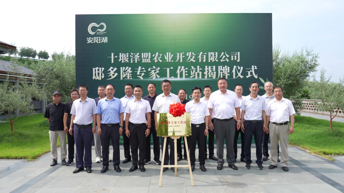 图片33.jpg