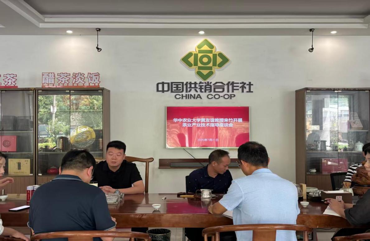 图片115.jpg