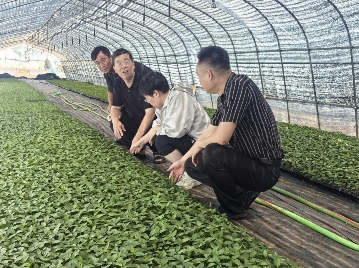 图片2_副本.jpg