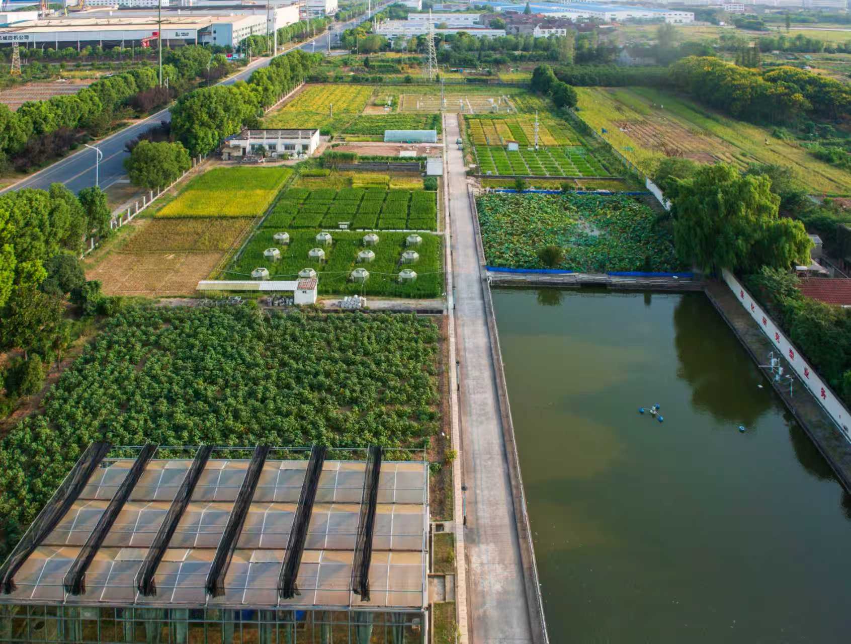 荆州市气象局.jpg
