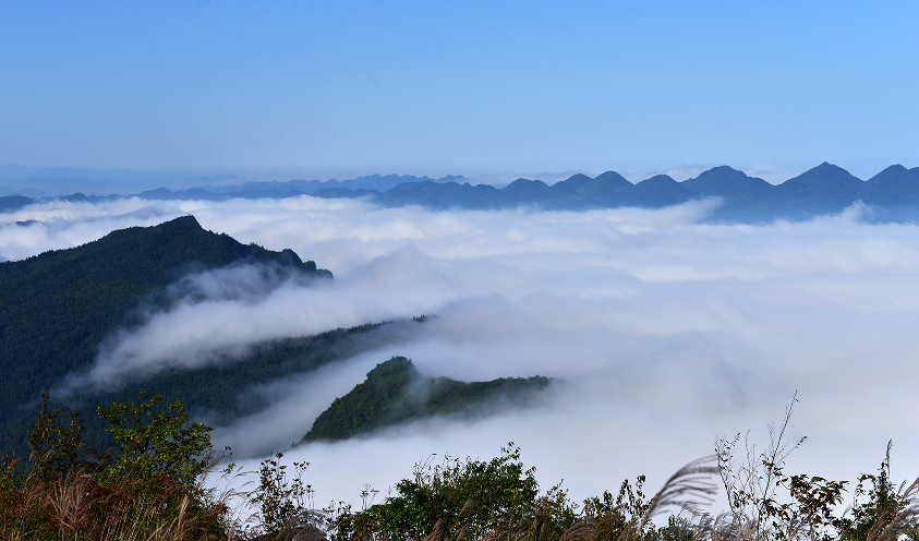 湖北七姊妹山国家级自然保护区
