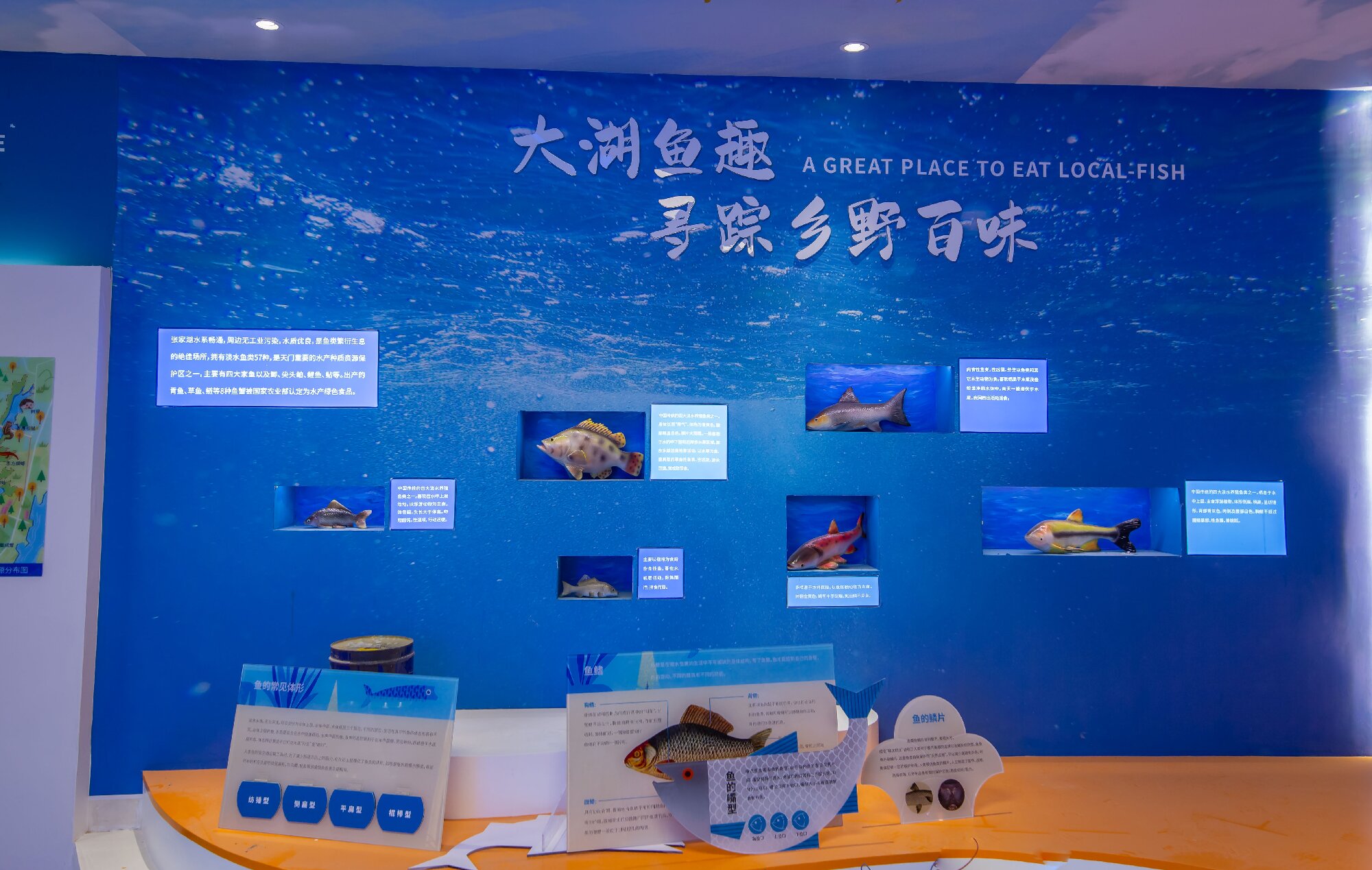 1791597767153002029.jpg 湿地科普馆-第二空间2.jpg