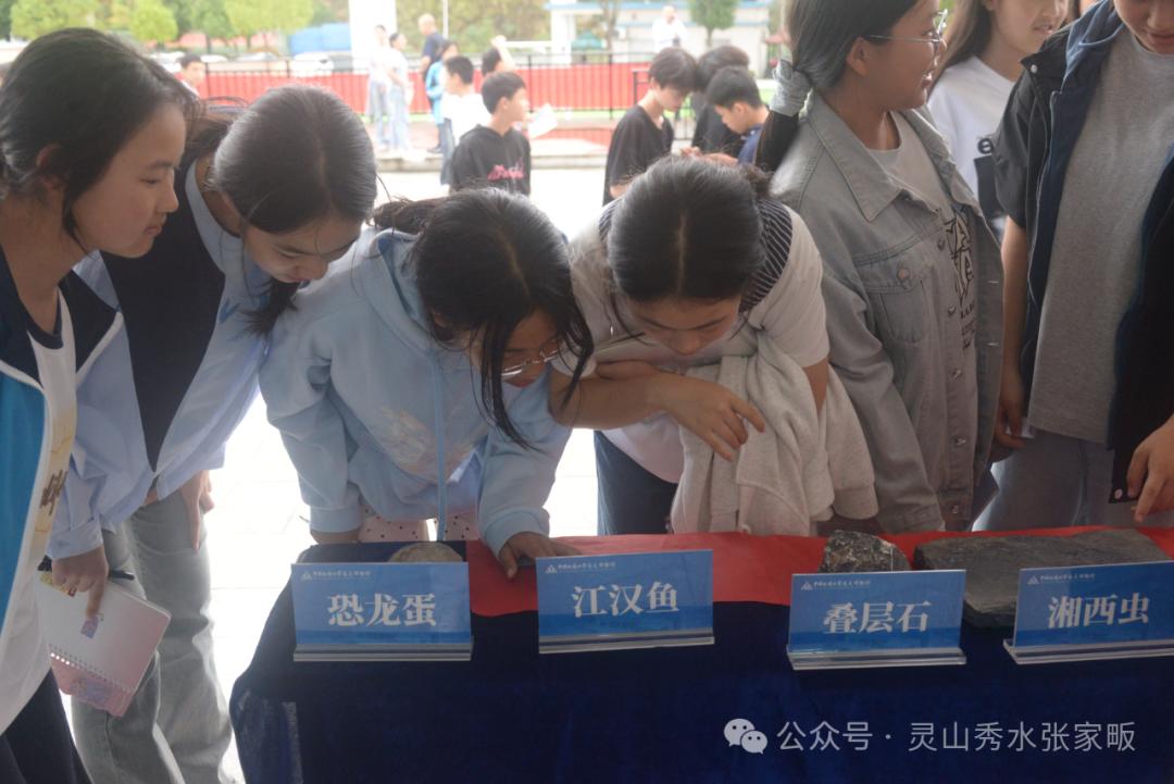 1792401273935061978.jpg 原图3.jpg